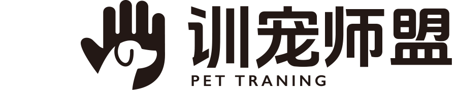 训宠师盟