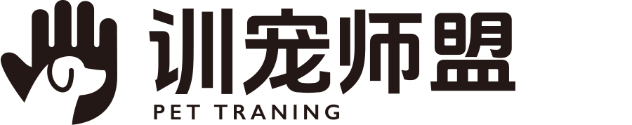 训宠师盟
